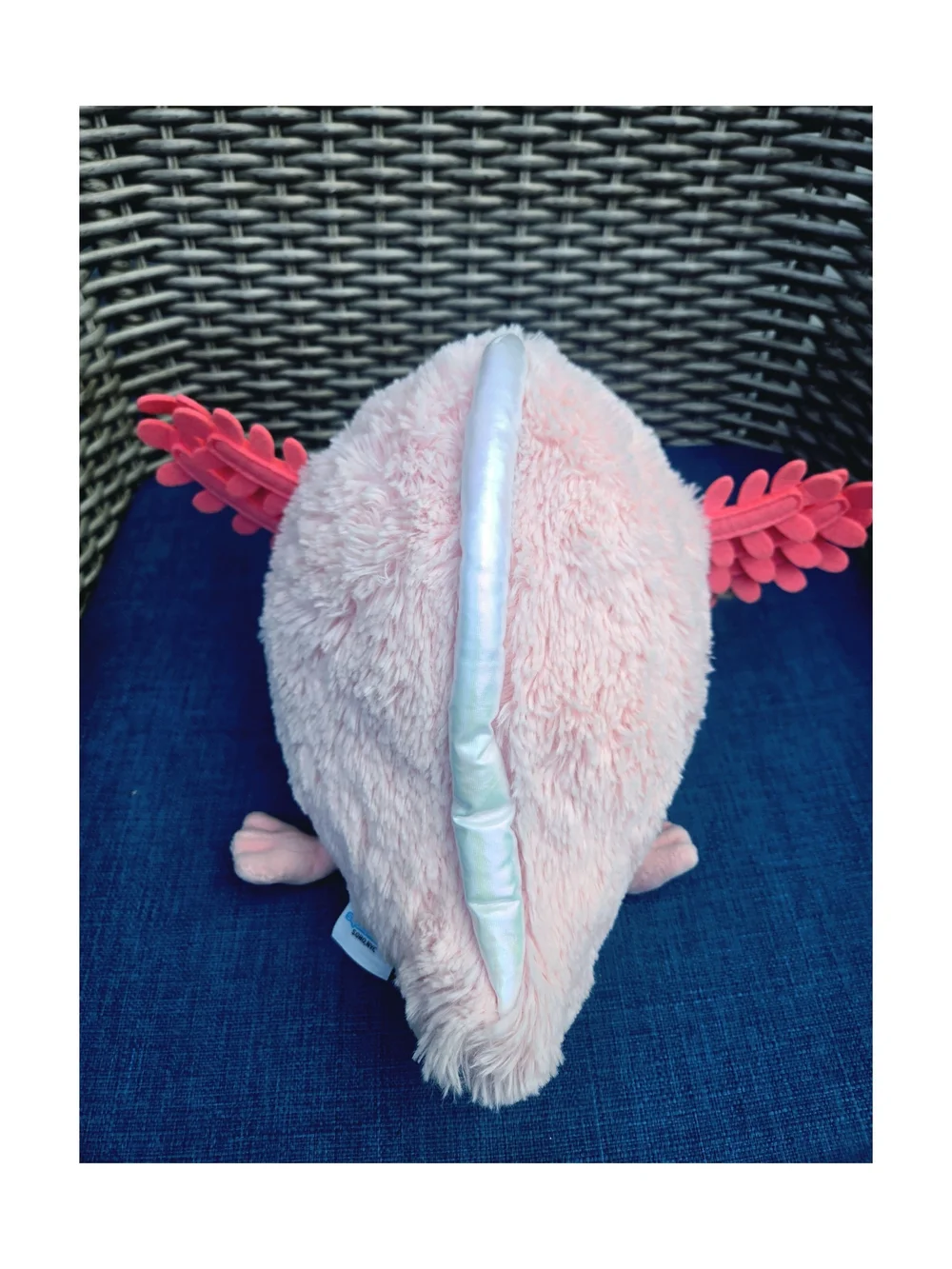 Baby Pink Axolotl Squishable